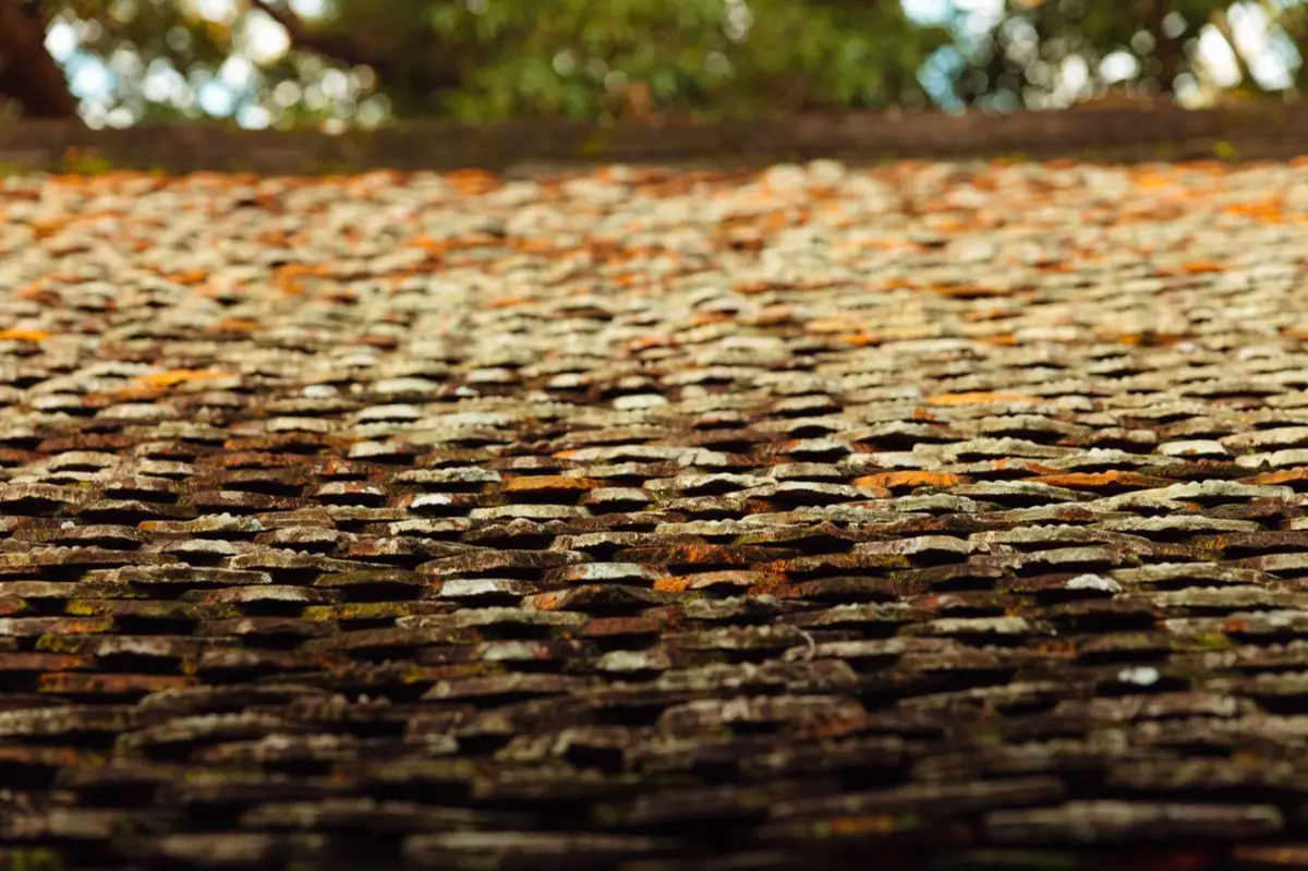 Aging shingle roof with moss growth and granule loss in Baytown, TX